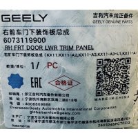  Geely Monjaro Молдинг передней правой двери – 6073119900 